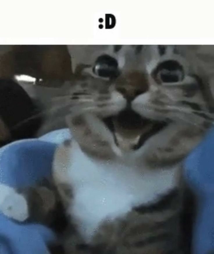 bd1662db45a61c845254588291b0d145