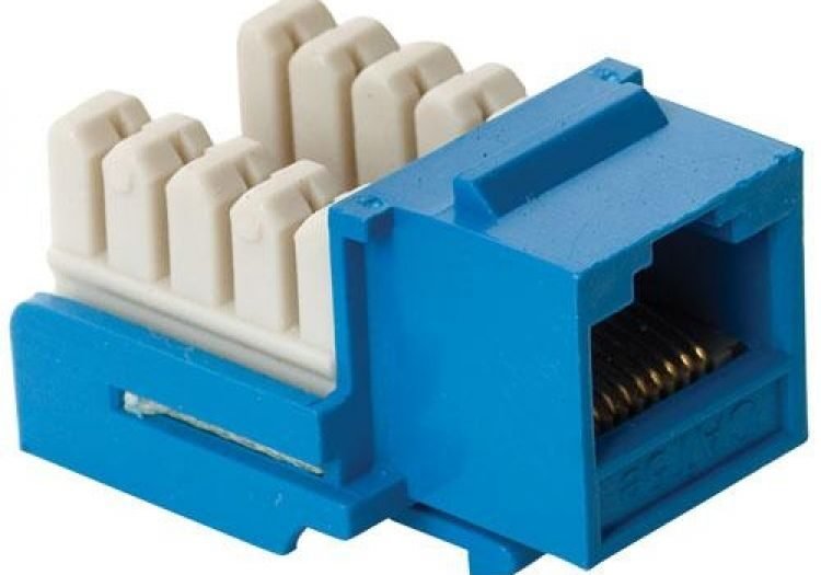 jack-rj45-de-8-toma-corrientes-a-90-cat-5e-tipo-keystone-azul